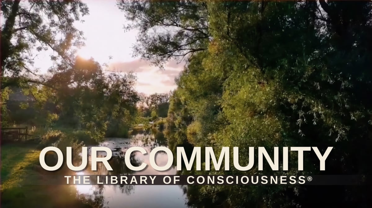 Library of Consciousness® Community Video Thumbnail - Photo of Still Water Surrounded by Trees at Dusk